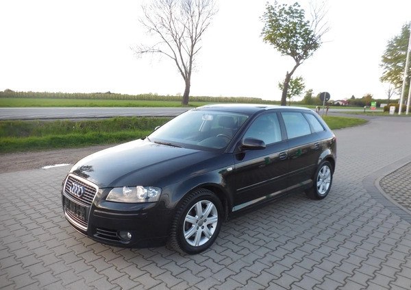 Audi A3 cena 20900 przebieg: 203000, rok produkcji 2007 z Ogrodzieniec małe 211